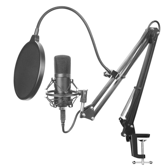 Complete microphone set with condenser mic, boom arm, and pop filter for gaming and recording.