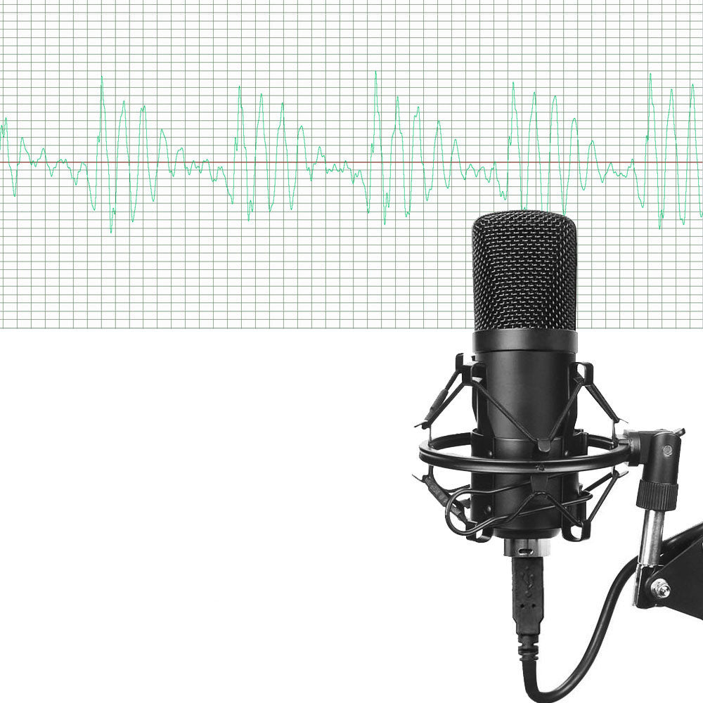 Complete Microphone Set for Gaming & Recording with condenser mic and accessories.